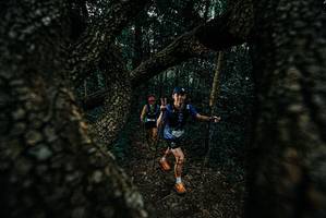 BIB: 
                            <button type="button" onclick="openModal(25688181)" class="btn btn-primary btn-sm float-right btn-popup" data-toggle="modal" data-target=".modal-high-quality">
                        <i class="fas fa-shopping-cart"></i> Add to Cart
                    </button>
                                            <button type="button" onclick="isThisMe(25688181, true)" class="btn btn-success btn-sm float-right btn-popup btn-isme hidden" data-toggle="tooltip" data-placement="bottom" title="นี่คือรูปของคุณใช่ไหม คลิกที่นี่เพื่อเอาเข้าอัลบั้ม">
                        <i class="fas fa-plus"></i> Add to album
                    </button>
                    <button type="button" onclick="isThisMe(25688181, false)" class="btn btn-warning btn-sm float-right btn-popup btn-isnotme hidden">
                        <i class="fas fa-ban"></i> Remove from album
                    </button>